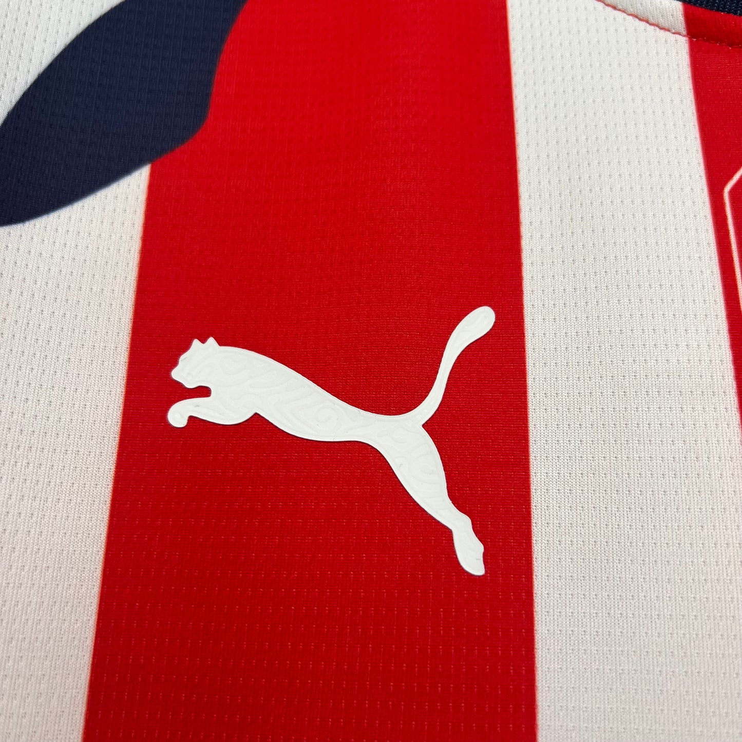 Chivas Guadalajara Local 25/26