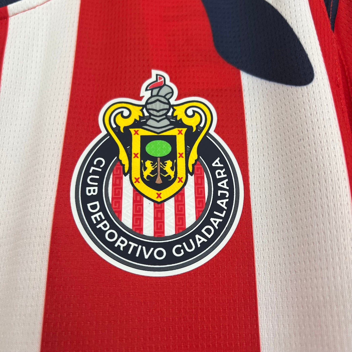Chivas Guadalajara Local 25/26