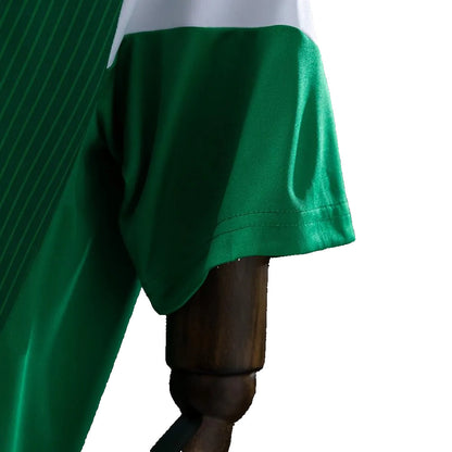México Local 2014